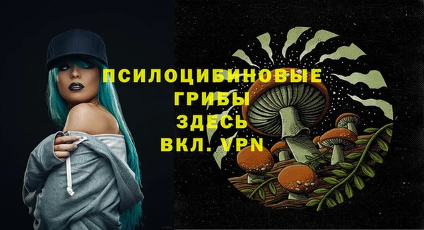 винт Баксан