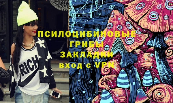 гидра Покров